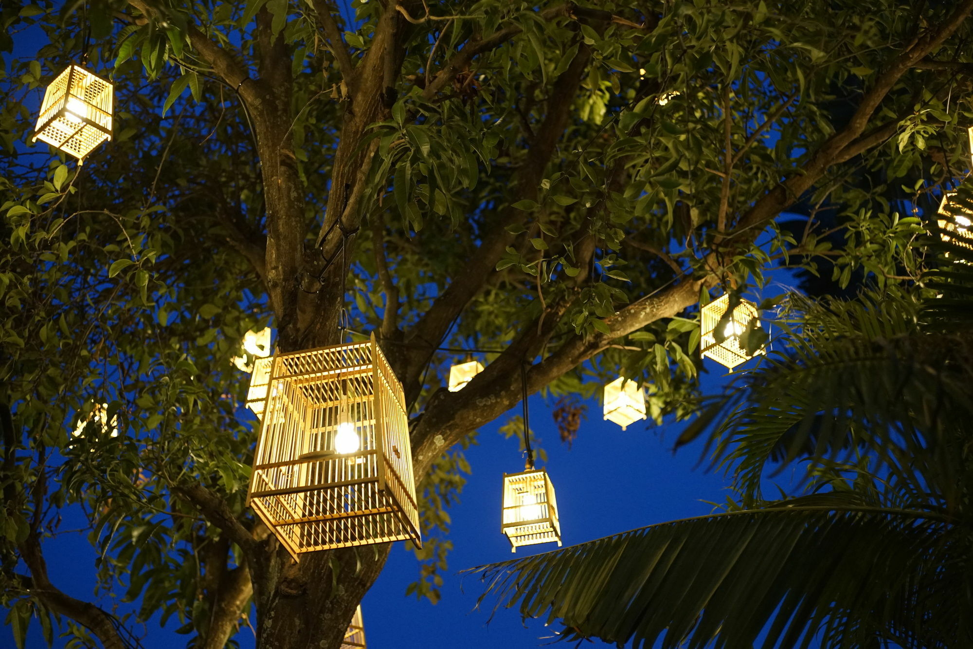 Villa 88 Nimman-Chiang Mai Luaran gambar